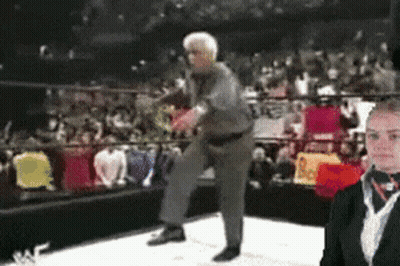 Wrestling Ring With Referee GIF