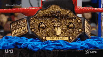 Wrestling Ring With Ric Flair Belt GIF