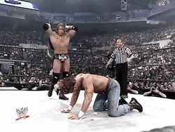 Wrestling Shawn Michaels Violent Fighting  GIF
