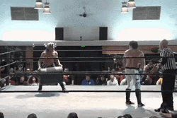 Wrestling Stunt Hits Referee