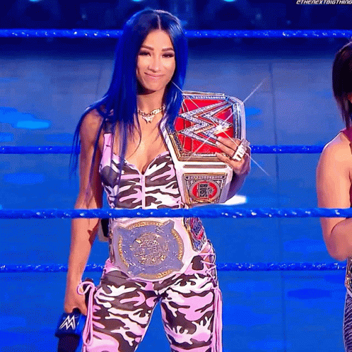 Wrestling Tag Team In Ring GIF