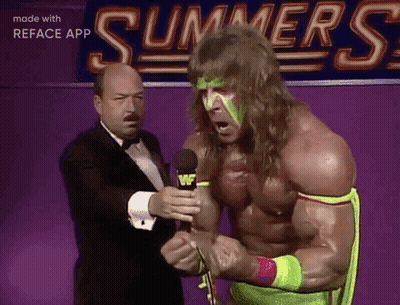Wrestling Wwe GIF