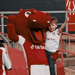 Wrexham Association Football Mascot GIF
