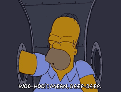 Wrong Expression Homer Woohoo Mean Beep Beep GIF