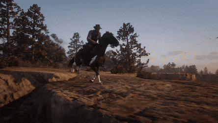 Wrong Way Rdr2 GIF