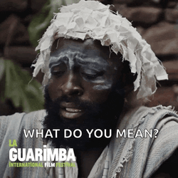Wtf Confused GIF