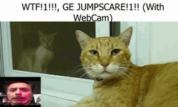 Wtf Jumpcare Webcam