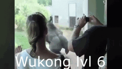 Wukong Level Six GIF