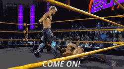 WWE Asher Hale Come On GIF