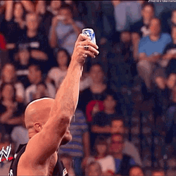 WWE Drinking Bud Light GIF