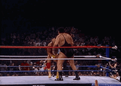 WWE Hulk Hogan Body Slam Andre The Giant GIF