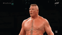 WWE Muscleman Brock Lesnar  GIF