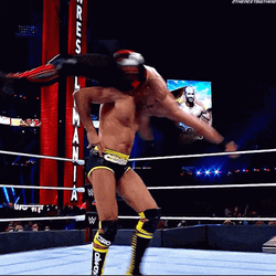 WWE Seth Rollins Body Slam Cesaro GIF