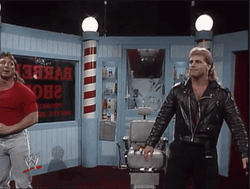 WWE Shawn Michaels Super Kick  GIF