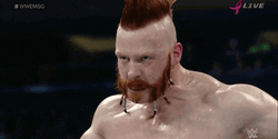 WWE Sheamus Drop Kick GIF