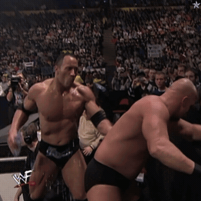 WWE Wrestlers Fighting In Front Of Crowd GIF