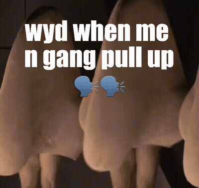 Wyd When Me N Gang Pull Up On Nose GIF