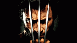 X-Men Wolverine The Best GIF