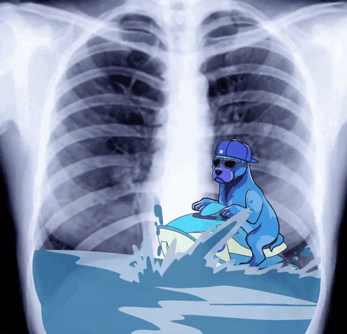 X-Ray Dog Riding Boat In Water GIF