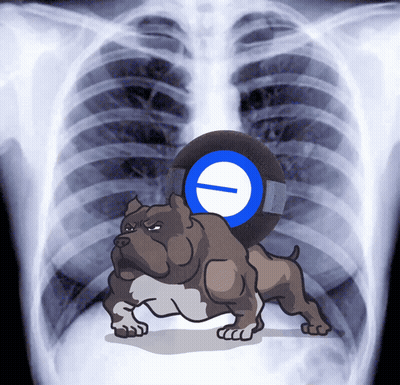 X-Ray Dog With Tire On Back GIF