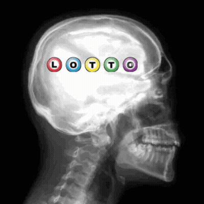 X-Ray Of Head With Lotto Written In Center GIF