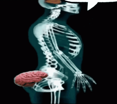 X-Ray Skeleton With Speech Bubble GIF