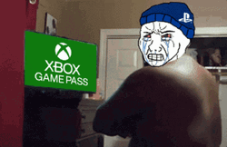 Xbox Game Pass Punched Meme GIF