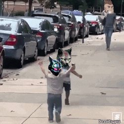 Xeno Friends Xeno Mining GIF