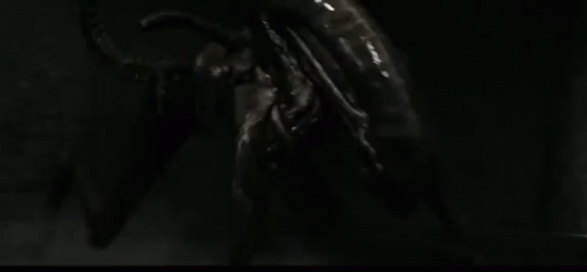 Xenomorph Running Fast GIF