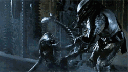 Xenomorph Vs Predator GIF