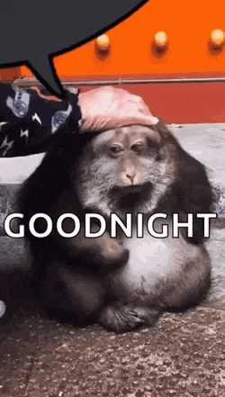 Xinging Xinging Monkey GIF