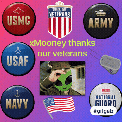 Xmooney Thanks Our Veterans With A Picture Of A Soldier GIF