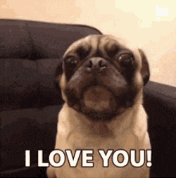 Xoxo Love You GIF