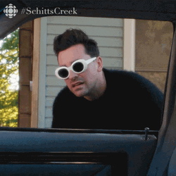 Y Tho Schitts Creek David Rose GIF