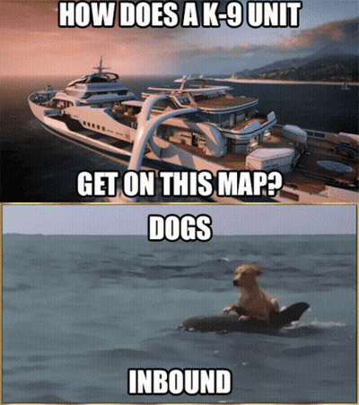 Yacht And Dog On Surfboard GIF
