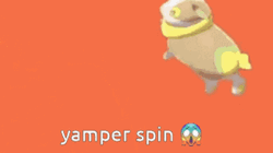 Yamper Spin Pokemon Meme GIF