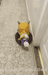 Yanfei Bingus Transportation GIF