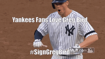 Yankees Fan Sign Greg Bird GIF