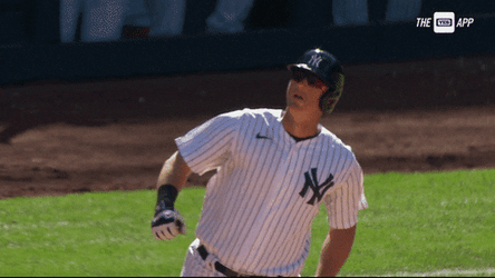 Yankees Sweep Air Punch Happy GIF