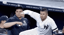 Yankees Win Gleyber Torres GIF
