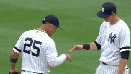 Yankees Win Teammate Hug GIF