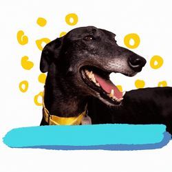 Yasssss Happy Dog Big Smile GIF