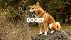 Yawning Big Doge Meme GIF