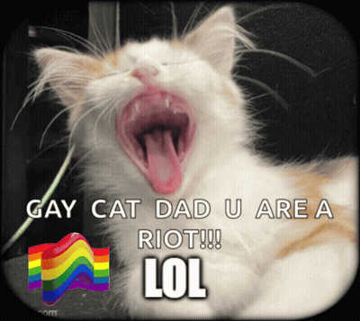 Yawning Cat With Rainbow Flag GIF