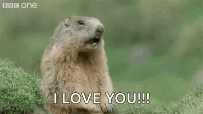 Yawning Groundhog Saying Hey I Love You GIF
