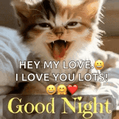 Yawning Kitten Says Hey My Love I Love You Lots GIF