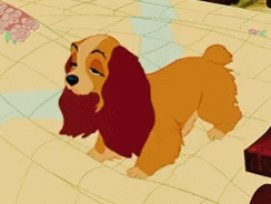 Yawning Lady And The Tramp GIF