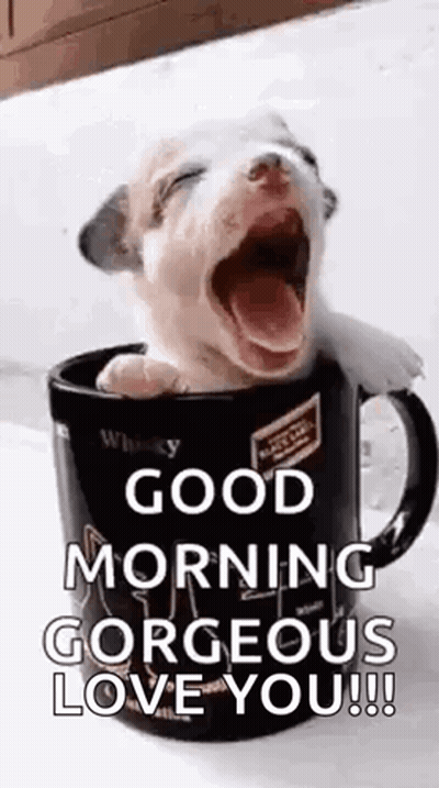 Yawning Puppy In Coffee Mug Saying Good Morning GIF
