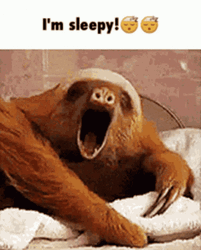 Yawning Sloth Im Sleepy Meme GIF