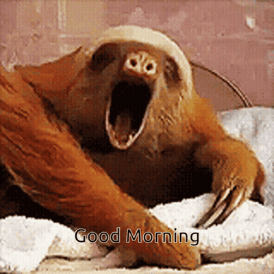 Yawning Sloth With Good Morning GIF